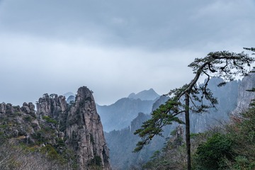 DSC_1411-1