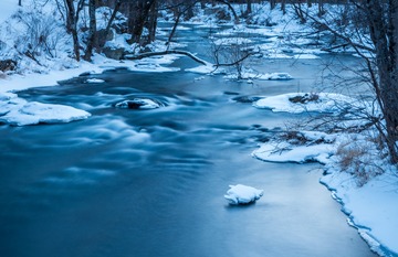 DSC_4668-1