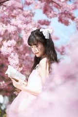 1135E5AD-CF07-466D-B623-B200EE2616F5/L0/001