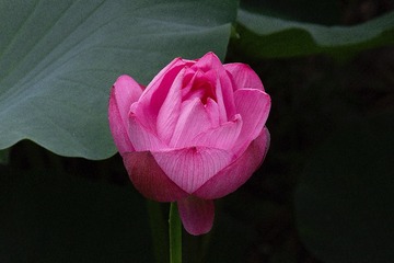 8367331B-E546-4D4E-ABE3-586F2F0CCF13/L0/001