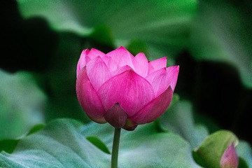498B7C18-D2AD-4E88-8C2F-27B72010EA98/L0/001
