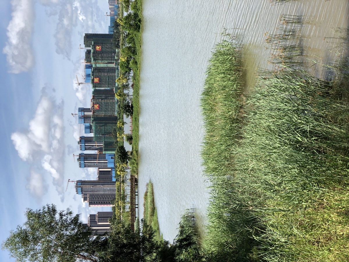 犁头嘴三墩海头湾散记