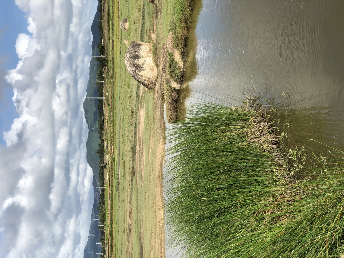 犁头嘴三墩海头湾散记