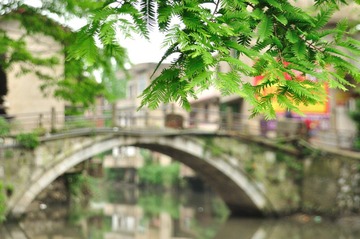 DSC_1679.jpg