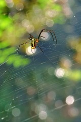 DSC_1932.jpg