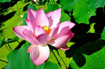 DSC_2888.jpg