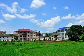 DSC_2641.jpg