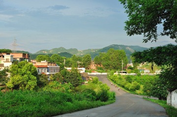 DSC_36.jpg