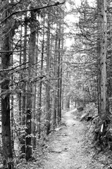DSC_619.jpg