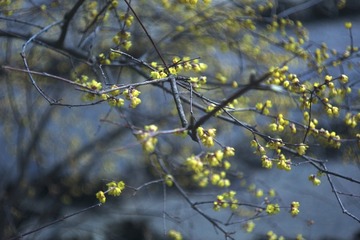 51A161F1-7314-4488-B2CE-7492DB205FDB/L0/001