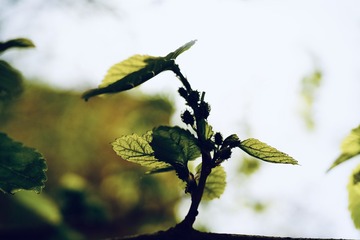 CB558D0F-E70E-4920-B2C5-D9BB4A6AB208/L0/001