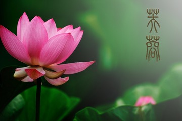 AF0340ED-49AA-46E5-8F1E-DD85513253D7/L0/001