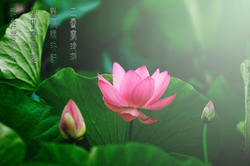 4D5F7075-1173-4C32-A079-0C9926FF6100/L0/001