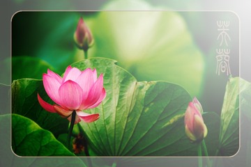 0543207F-0DFE-4F95-9AFA-F233A2009130/L0/001