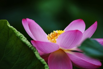 0C188730-3E53-48DA-A69C-376EC9436316/L0/001