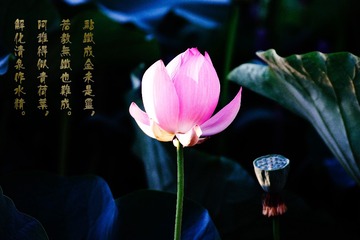 708F6AD9-B751-450E-A39C-3EB7BB6B3C77/L0/001