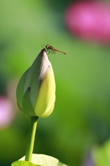 9018E5AA-EA31-481B-BCBD-4F09F57DE999/L0/001
