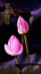 CC4560D5-D9E5-447A-A5E5-62294F809021/L0/001