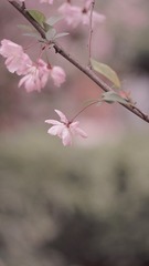 3FA55509-AB13-4946-B11F-EB2E493C4307/L0/001