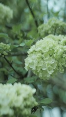 B6E08C5D-A520-411C-8562-3AB24E108D76/L0/001