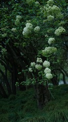 9DDA3EB6-A2E9-4F47-AF31-D160F1233977/L0/001