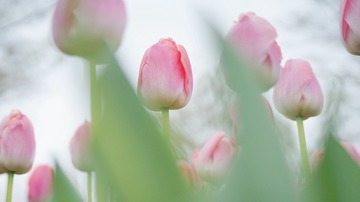 5C8B8B53-860D-4C51-BA48-7C483F4303A3/L0/001