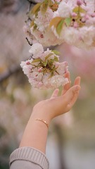 E1451FD9-373B-4F67-AE2F-462E2158ECA0/L0/001