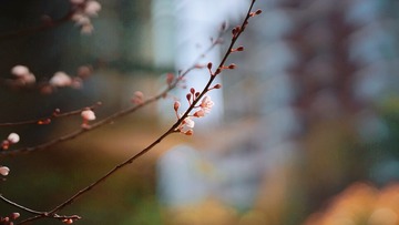 717A41E0-35F3-45B2-B5AE-1275F988C8D4/L0/001