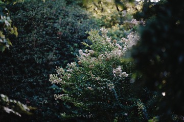 A6963550-084C-4037-996D-3818BE6BB1D5/L0/001