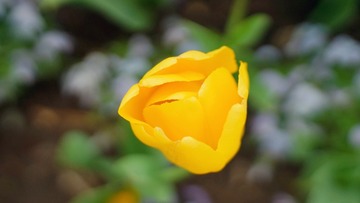 C8BCBB94-9CEC-4AA7-838F-D26AB5E39BCD/L0/001