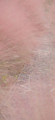 71407F98-3663-464E-A086-F9F871D31050/L0/001