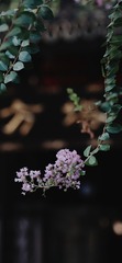 CD308AD9-34DB-46B1-B415-7728290F2FA4/L0/001