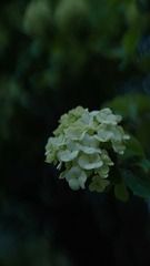 B08D957D-21CD-43B4-B573-FA05A647F62A/L0/001