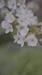 E1863876-1DC4-4B0E-AC10-DB4664DDEC53/L0/001