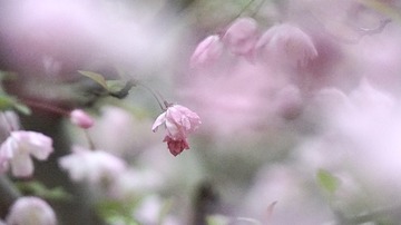 17D4E6EB-CDF4-4BC0-9B8F-256AE84E2D8F/L0/001