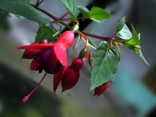 DSCF3128