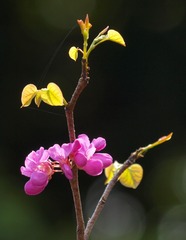 P3274092