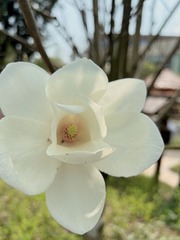 5899A703-29FE-42D5-8CBC-9AD2AB64AB29/L0/001