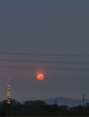 B7205B17-4A32-473D-9DAB-7E32DC678799/L0/001