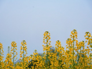 643BD6EE-5072-4F64-BCBE-2F01BAF4CFCA/L0/001