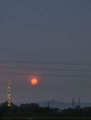 32896D5D-641A-48A7-8425-CA9939336FC8/L0/001