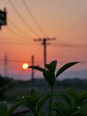 72D02B87-337C-444C-940B-A572C18BF832/L0/001