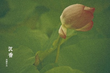 _MG_96601.jpg