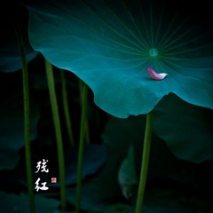 _MG_9628.jpg