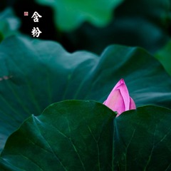 _MG_9632.jpg