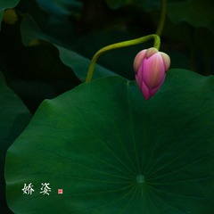_MG_9636.jpg
