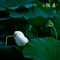 _MG_9668.jpg