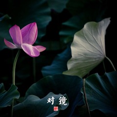 _MG_9707.jpg