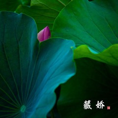 _MG_9742.jpg