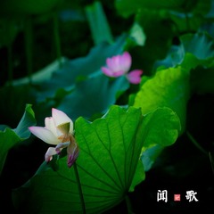 _MG_9845.jpg